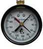 American Granby Water Test Gauge 0-300 Max PNT