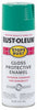 SPRAY PAINT 12 OZ FLAT RD ROCK STOP RUST