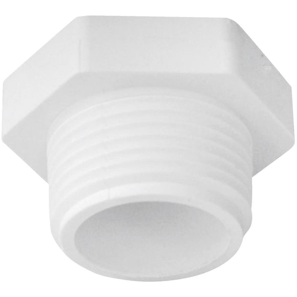 Charlotte Pipe Threaded Schedule 40 DWV 1 in. MIP PVC Plug